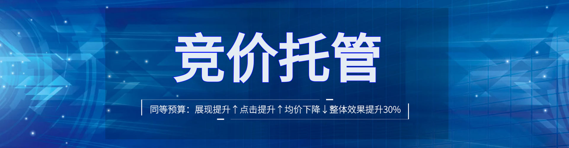 大新sem代运营